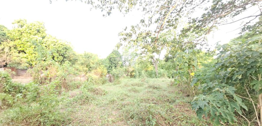 Farm/Residential Lot in Brgy Ambulong, Tanauan, Batangas