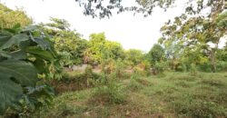 Farm/Residential Lot in Brgy Ambulong, Tanauan, Batangas