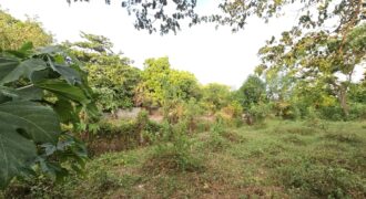 Farm/Residential Lot in Brgy Ambulong, Tanauan, Batangas