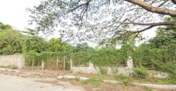 Farm/Residential Lot in Brgy Ambulong, Tanauan, Batangas