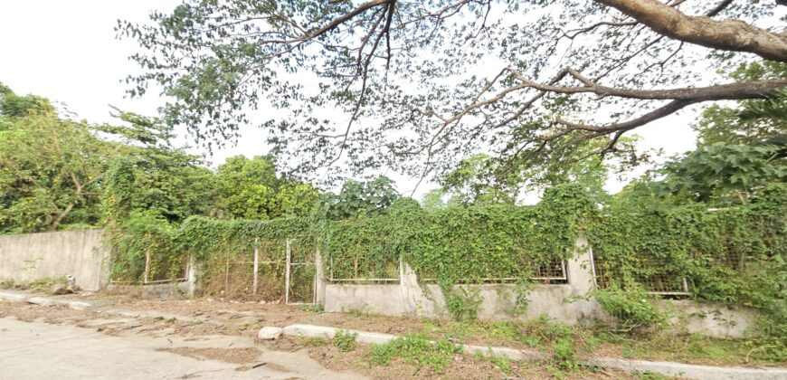 Farm/Residential Lot in Brgy Ambulong, Tanauan, Batangas