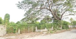 Farm/Residential Lot in Brgy Ambulong, Tanauan, Batangas