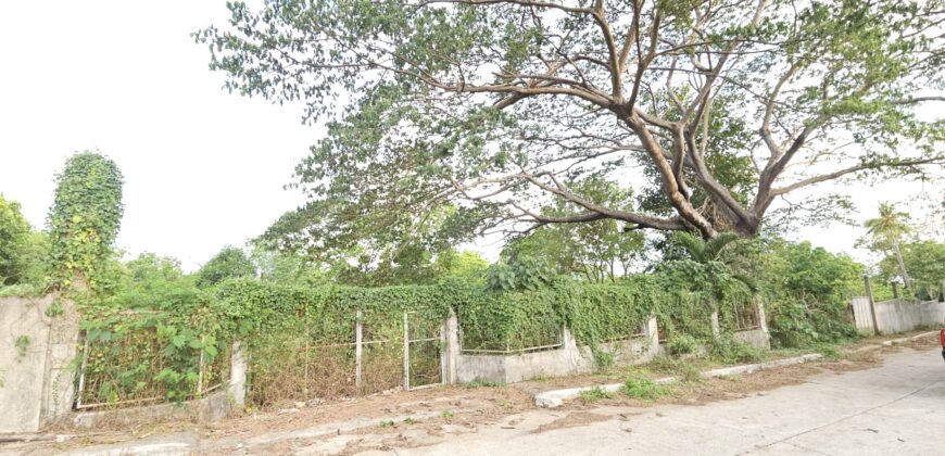 Farm/Residential Lot in Brgy Ambulong, Tanauan, Batangas