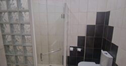Fully Furnished House with Swimming Pool in BF Homes Paranaque