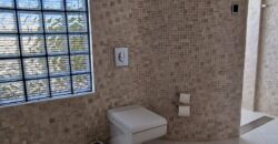Fully Furnished House with Swimming Pool in BF Homes Paranaque