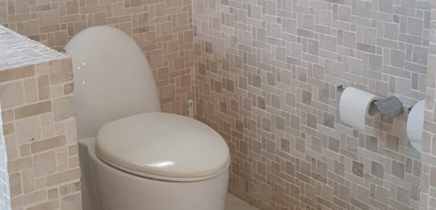 Fully Furnished House with Swimming Pool in BF Homes Paranaque