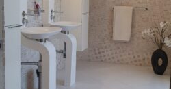 Fully Furnished House with Swimming Pool in BF Homes Paranaque