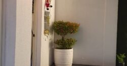Fully Furnished House with Swimming Pool in BF Homes Paranaque