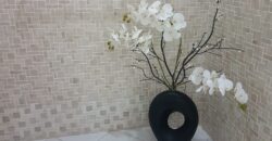 Fully Furnished House with Swimming Pool in BF Homes Paranaque