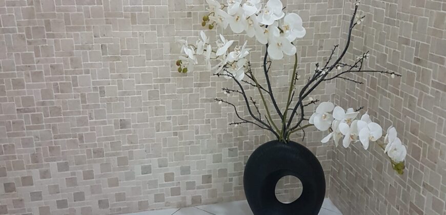 Fully Furnished House with Swimming Pool in BF Homes Paranaque