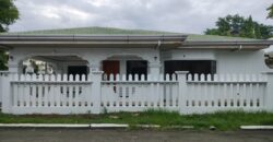 Corner House and Lot for Sale in BF Homes, Las Pinas