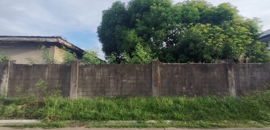 Residential Vacant Lot in BF Homes, Paranaque