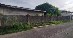 Residential Vacant Lot in BF Homes, Paranaque