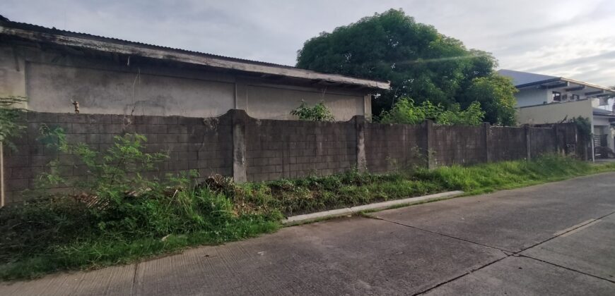 Residential Vacant Lot in BF Homes, Paranaque