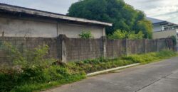 Residential Vacant Lot in BF Homes, Paranaque