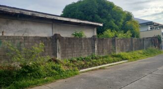 Residential Vacant Lot in BF Homes, Paranaque