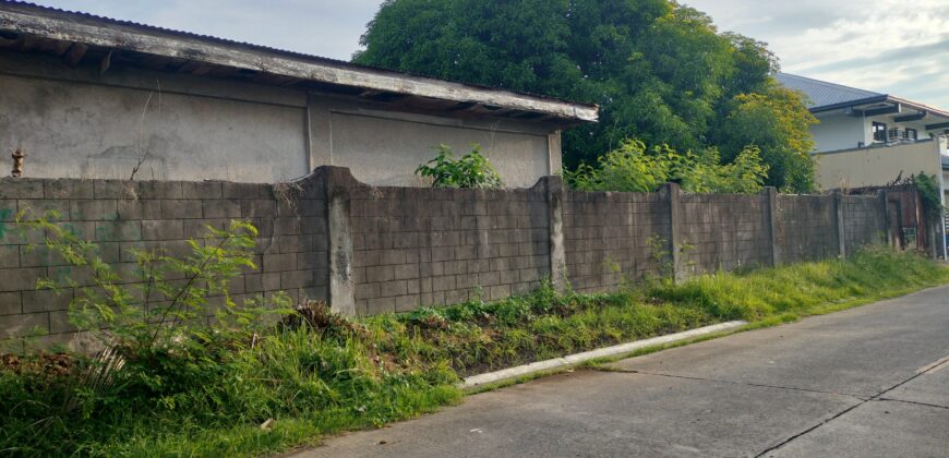 Residential Vacant Lot in BF Homes, Paranaque