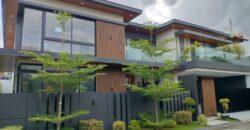Brandnew House with Swimming Pool in BF Homes Paranaque