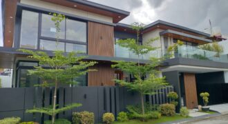 Brandnew House with Swimming Pool in BF Homes Paranaque