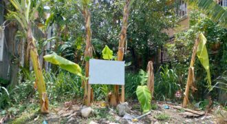 Lot for Sale in BF Resort, Las pinas