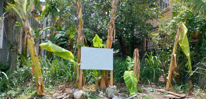 Lot for Sale in BF Resort, Las pinas
