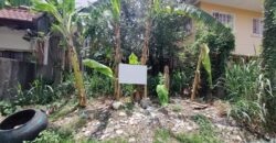 Lot for Sale in BF Resort, Las pinas