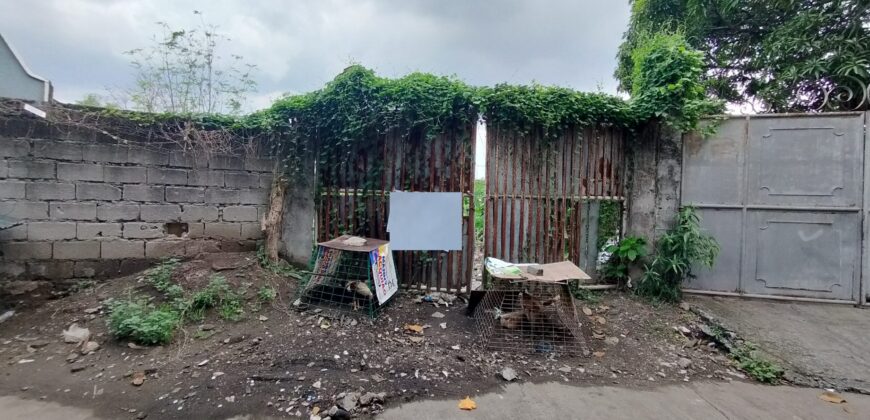 Lot for Sale in BF Resort, Las pinas