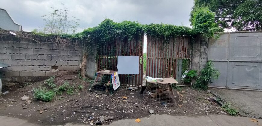 Lot for Sale in BF Resort, Las pinas