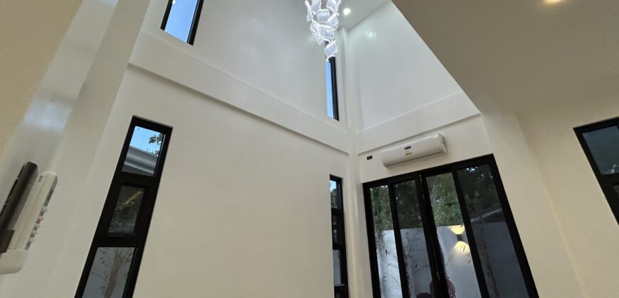 Brand New Modern House with Spacious Layout in Tahanan Village Paranaque.