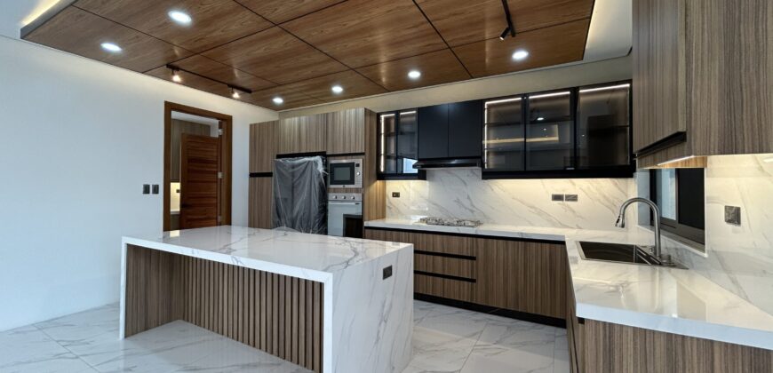 Brandnew House with Swimming Pool in BF Homes Paranaque