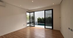 Brandnew House with Swimming Pool in BF Homes Paranaque