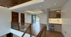 Brandnew House with Swimming Pool in BF Homes Paranaque