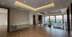 Brandnew House with Swimming Pool in BF Homes Paranaque