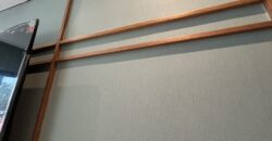 Brandnew House For Sale in BF Homes, Paranaque