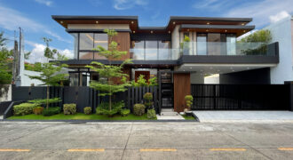 Brandnew House with Swimming Pool in BF Homes Paranaque
