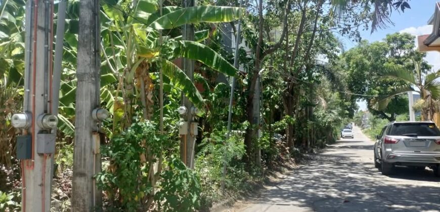 Residential Lot for Sale in Katarungan Village,  Muntinlupa City