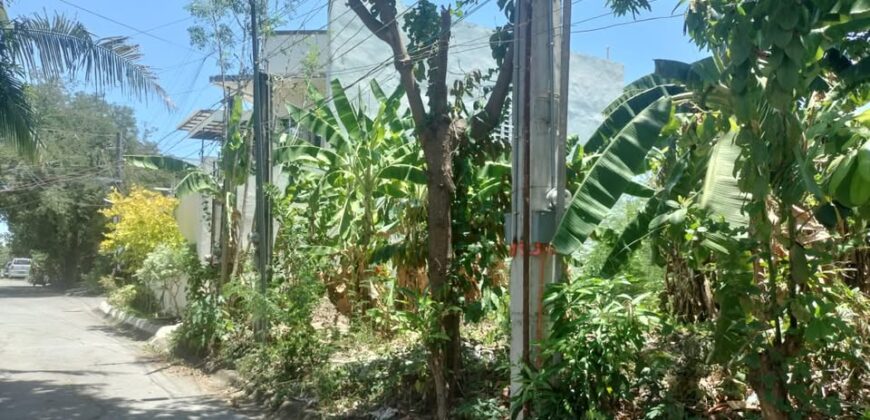 Residential Lot for Sale in Katarungan Village,  Muntinlupa City