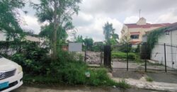 Residential Lot for Sale in BF Homes, Paranaque