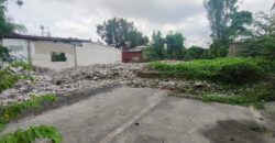 Residential Lot for Sale in BF Homes, Paranaque