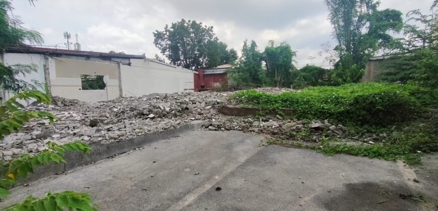 Residential Lot for Sale in BF Homes, Paranaque