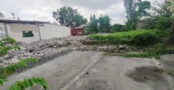 Residential Lot for Sale in BF Homes, Paranaque