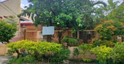 Bungalow House and Lot For Sale in Paranaque City