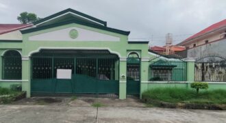 Bungalow House For Sale in Paranaque City