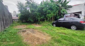 Residential Vacant Lot for Sale in Paranaque City