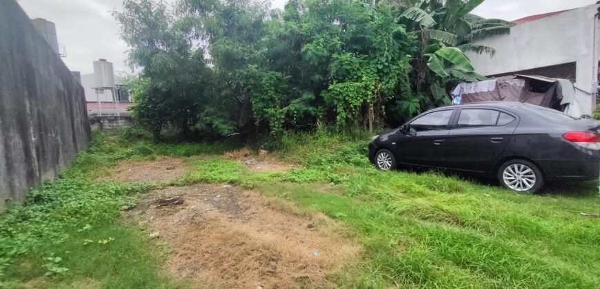 Residential Vacant Lot for Sale in Paranaque City