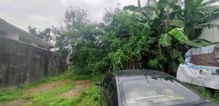 Residential Vacant Lot for Sale in Paranaque City