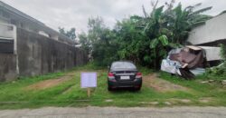 Residential Vacant Lot for Sale in Paranaque City
