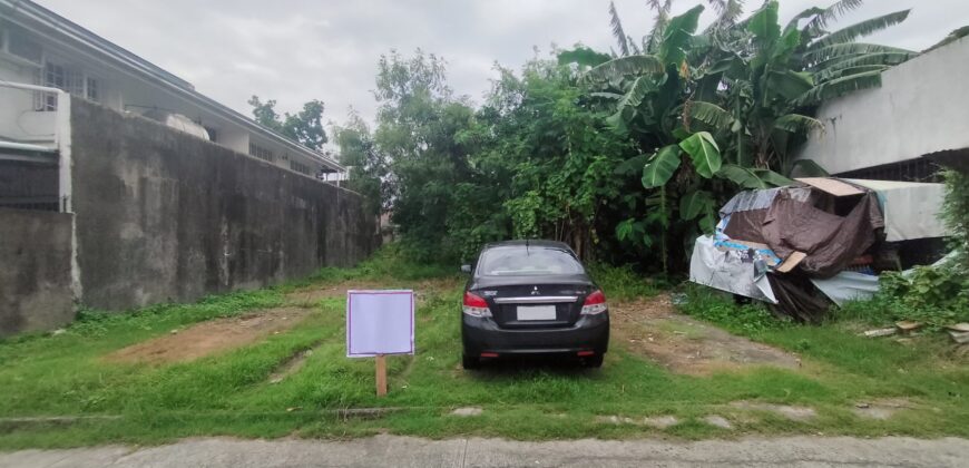 Residential Vacant Lot for Sale in Paranaque City