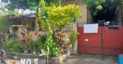 Residential Vacant Lot for Sale in Paranaque City