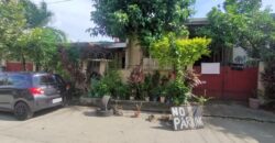 Residential Vacant Lot for Sale in Paranaque City